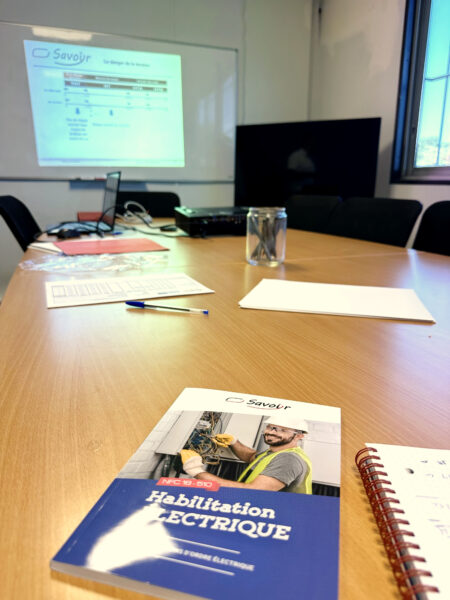 Alpha Détection en Formation Habilitation Electrique 2025