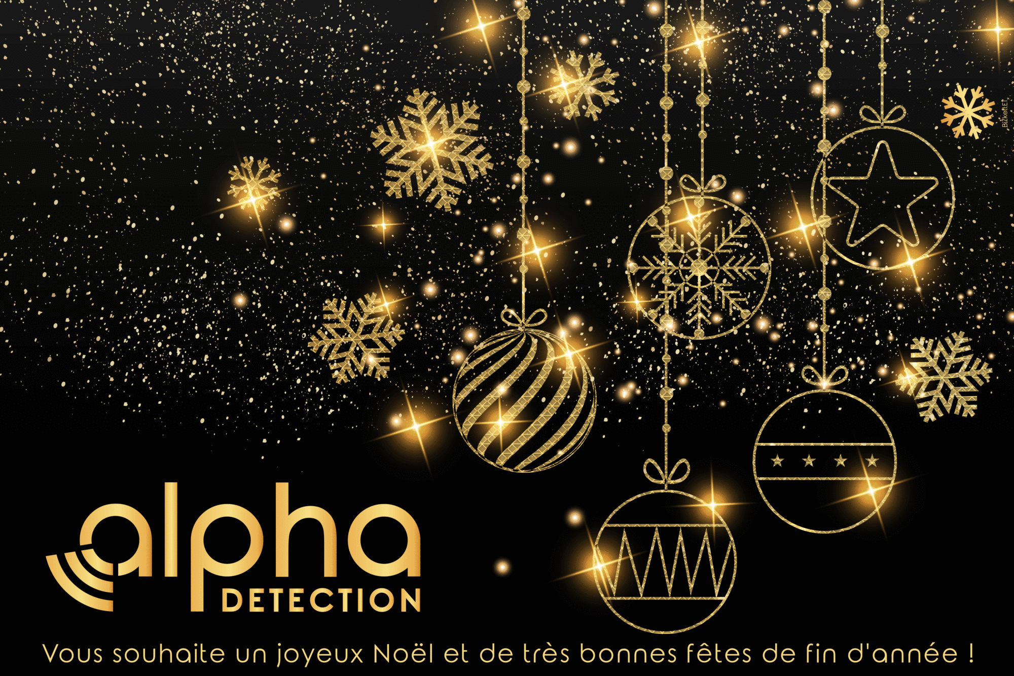 Alpha Détection GIF Noel 2022